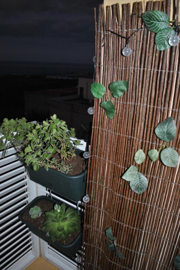 Discover The North Of The Island Of Tenerife La Laguna  Exterior foto